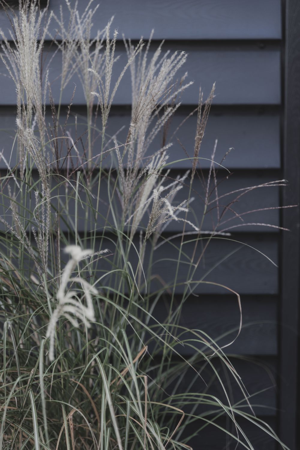 Mark van Middendorp schuur veranda garage luxe